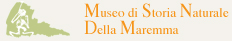 logo Museo di storia naturale della maremma