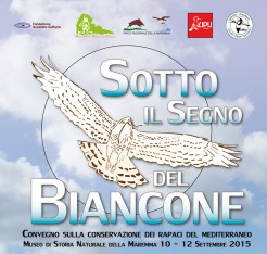 Sotto il segno del Biancone